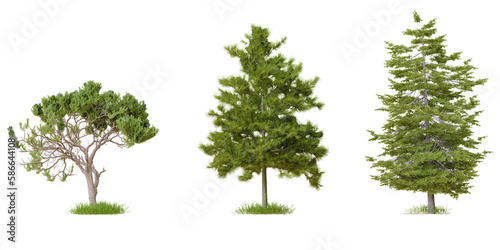 PNG tree file design for drag and drop and fasrt use  3d illustration rendering