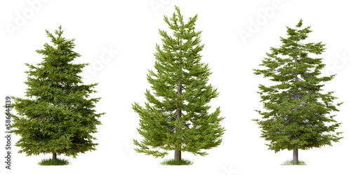 PNG tree file design for drag and drop and fasrt use, 3d illustration rendering © angkhan