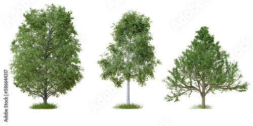 PNG tree file design for drag and drop and fasrt use, 3d illustration rendering © angkhan