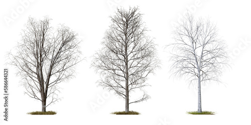 Wallpaper Mural death tree collection PNG transparent tree, 3d illustration rendering Torontodigital.ca