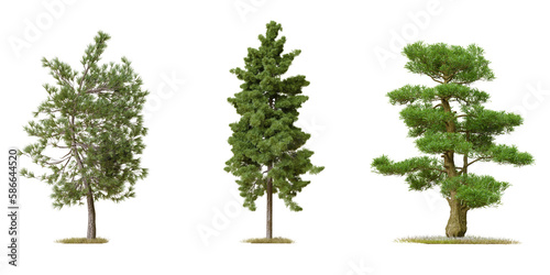 PNG tree file design for drag and drop and fasrt use  3d illustration rendering