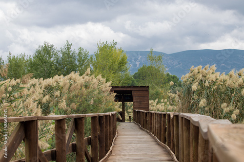 Puente de acceso fabricado en madera del observatorio de la Albufera de Gaianes con paisaje fondoso photo
