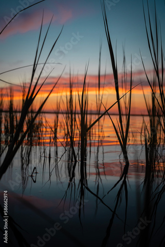 sunset over the bay