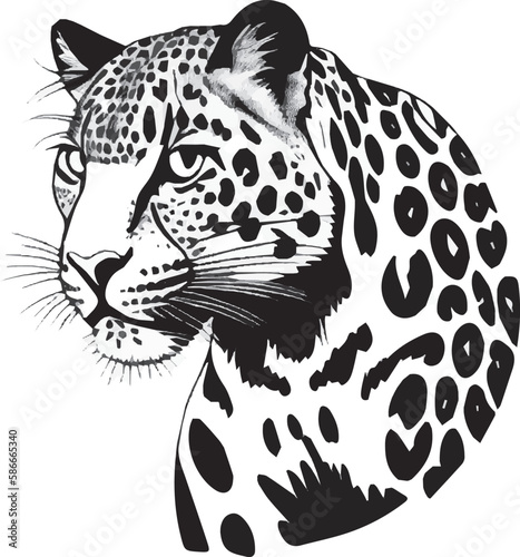 leopard head drawing vector graphics