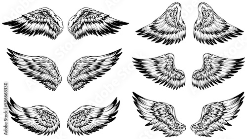 Bird wings illustration tattoo style. Hand drawn design element.