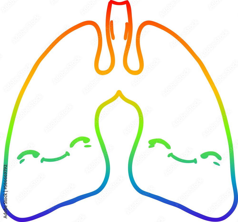 Fototapeta premium rainbow gradient line drawing cartoon lungs