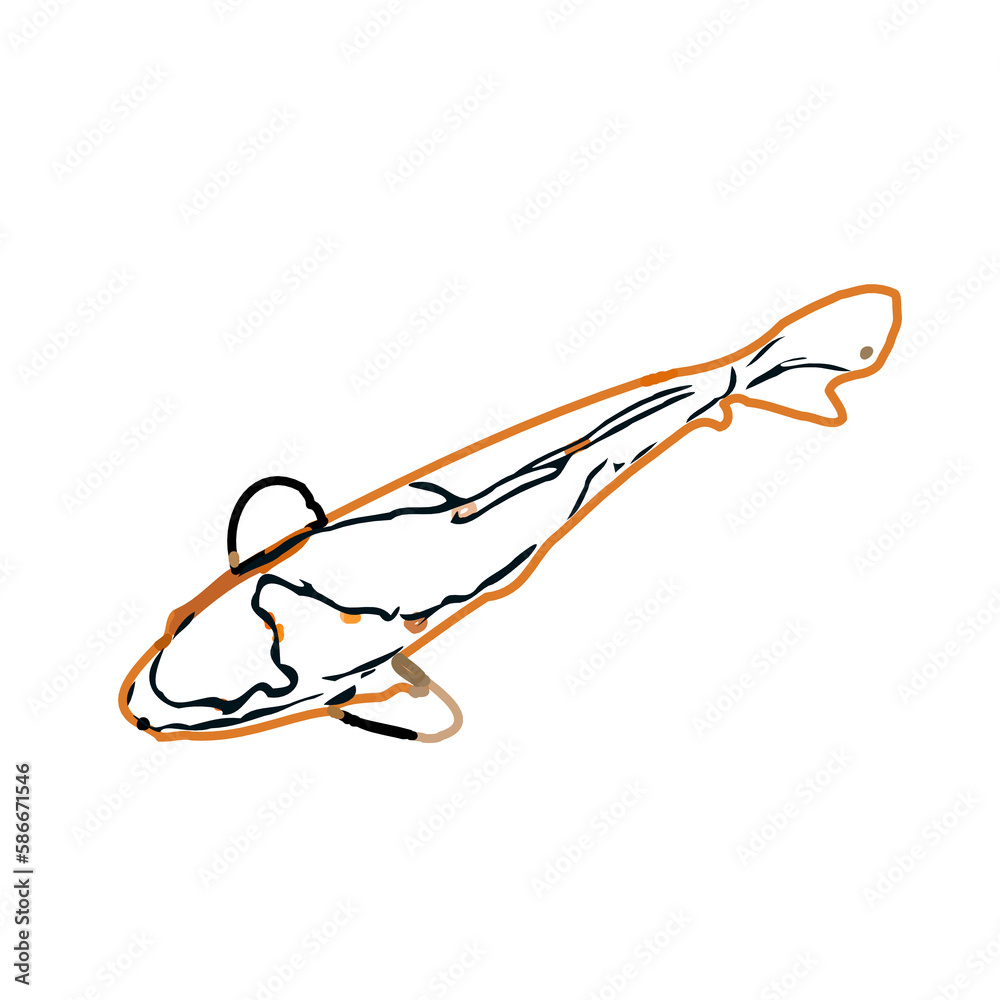 Koi fish color sketch with transparent background Koi fish color sketch with transparent background