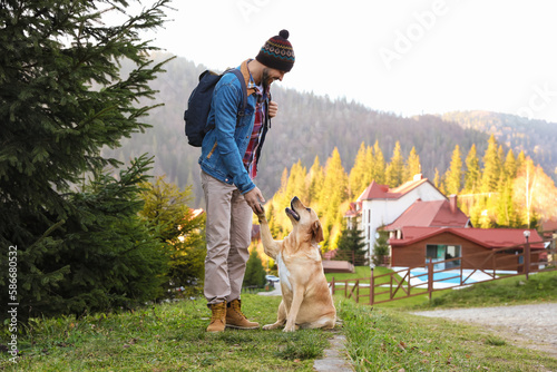 Happy man and adorable dog in mountains. Traveling with pet