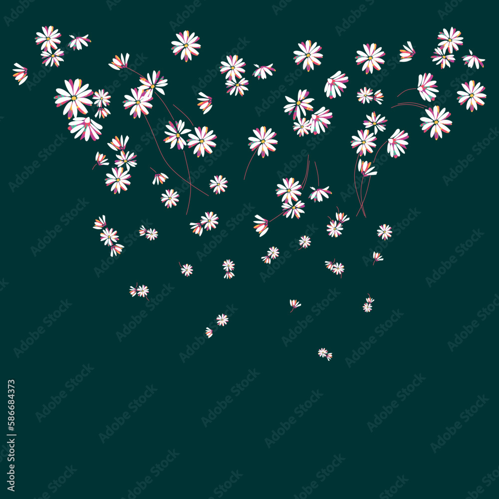 Print with dasiey flowers for graphic tee t shirt or poster - Vector