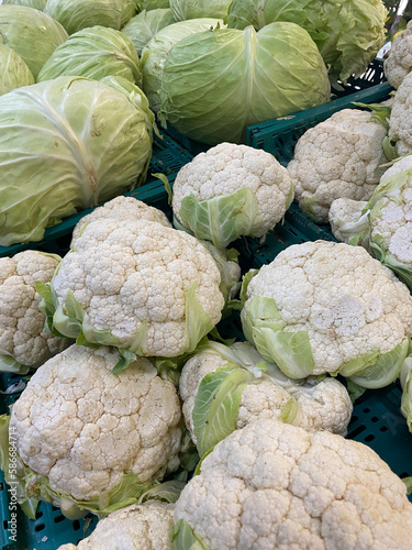 New harvest fresh cauliflower and cabbage in supermarket vegetable department