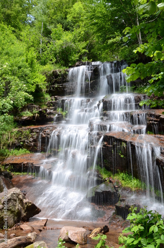 waterfall in the forest