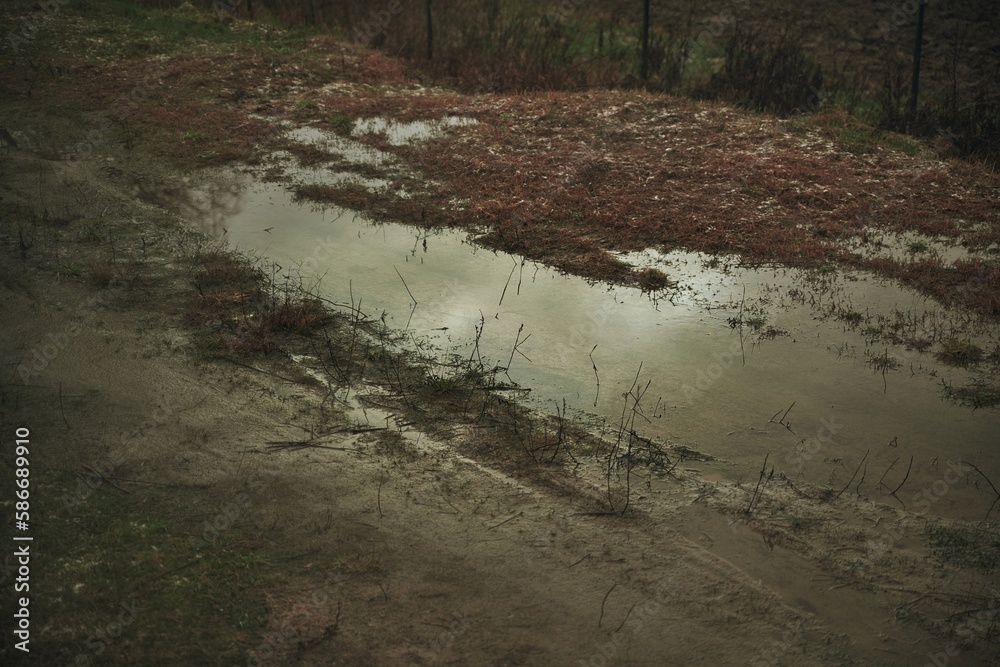 water puddles on the grass. gravel and clay can not absorb rainwater. water puddles on the grass. gravel and clay can not absorb rainwater.