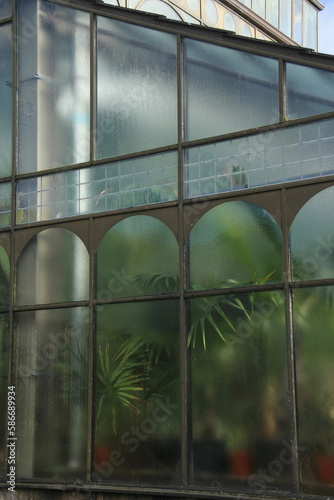 window in a greenhouse