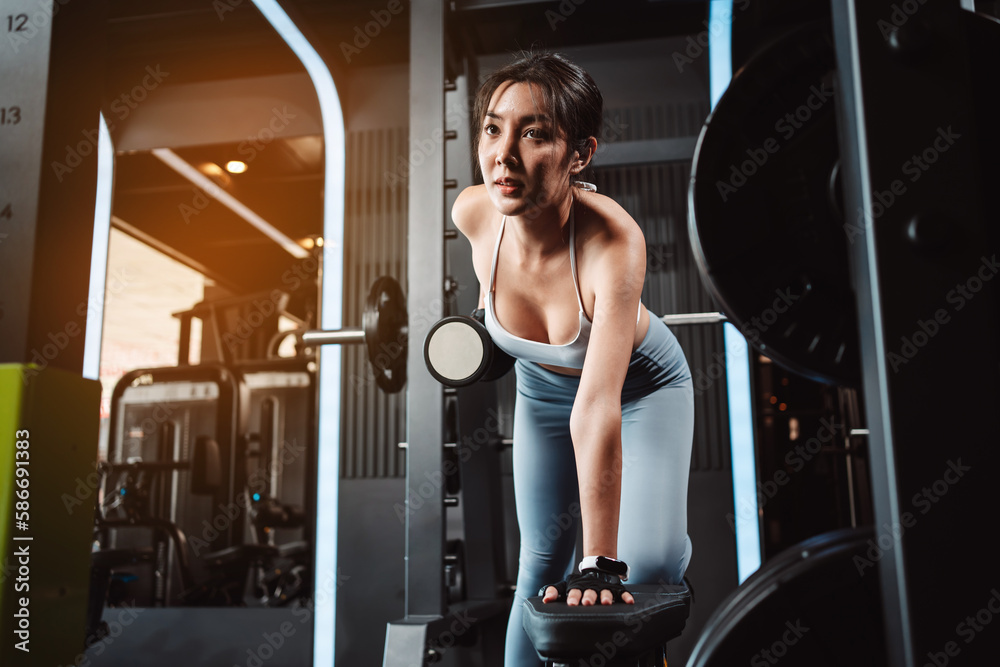 Women working out with weights training exercise lifting dumbbells at fitness gym. Fitness muscular body weight loss. Bodybuilding healthy lifestyle. Women working out with weights training exercise lifting dumbbells at fitness gym. Fitness muscular body weight loss. Bodybuilding healthy lifestyle.
