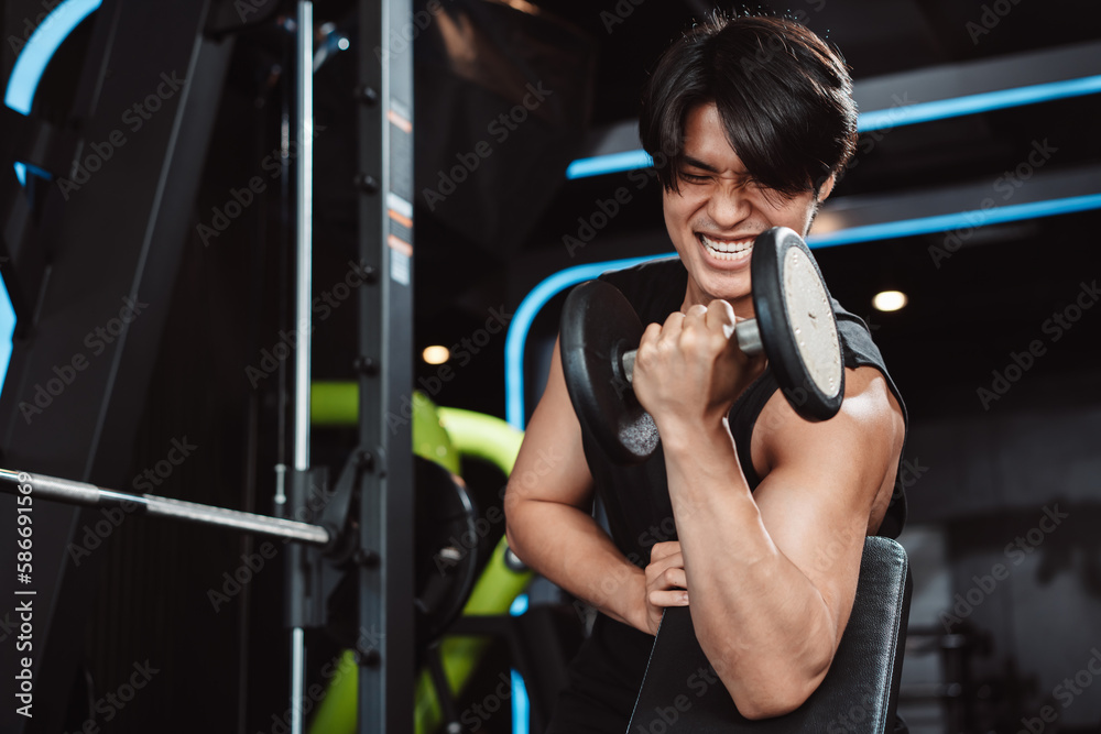 Male working out Bodybuilder with dumbbell weights at the gym.man bodybuilder doing exercises with dumbbell. training sport healthy lifestyle bodybuilding, Athlete builder muscles lifestyle. Male working out Bodybuilder with dumbbell weights at the gym.man bodybuilder doing exercises with dumbbell. training sport healthy lifestyle bodybuilding, Athlete builder muscles lifestyle.