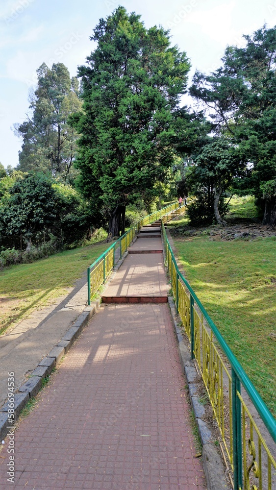 Walkway or path to the view points at the Top of Doddabetta peak from telescope house. Walkway or path to the view points at the Top of Doddabetta peak from telescope house.