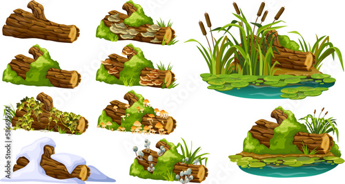 Stump with liana branches, ivy, cattails, bulrush. Log in honey mushrooms, under snow, with fungus. Cartoon broken tree in moss in swamp jungle. Isolated vector elements game on white background.