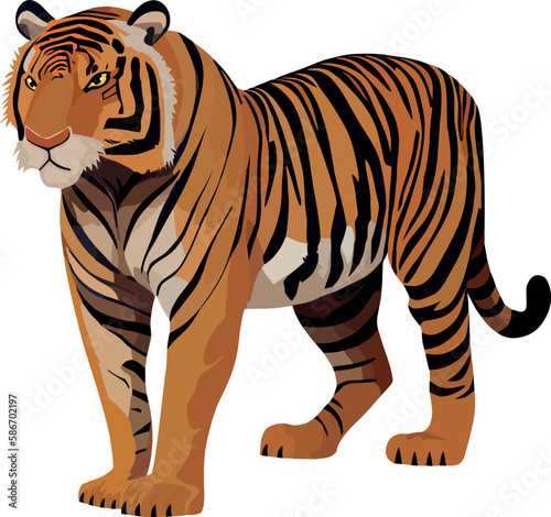 Fototapeta Naklejka Na Ścianę i Meble -  Bengal tiger walking with attitude through jungle