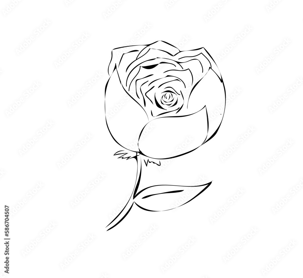 rose design