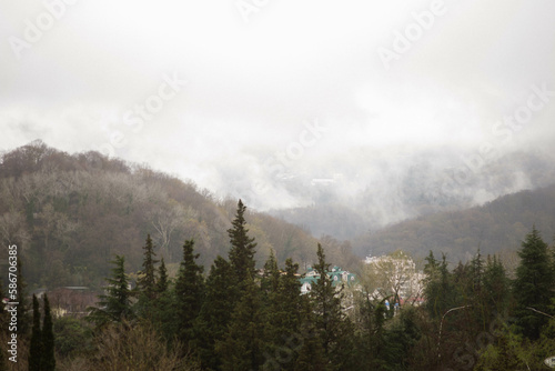 fog in the mountains