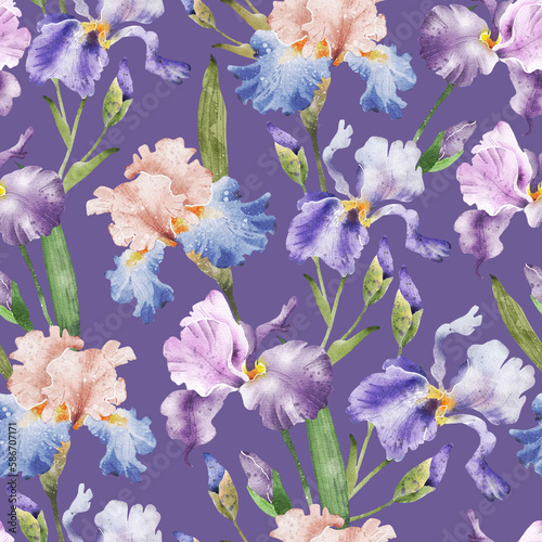 Seamless pattern with watercolor Iris flowers on a lilac background. hand painting. © Lana