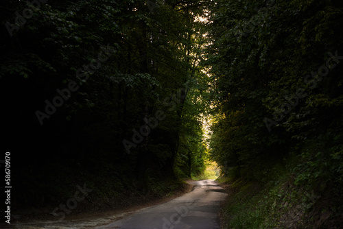 A road in a dark gorge leading towards the sun