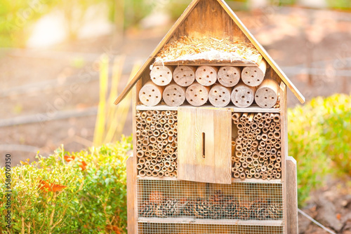 House for insects. Insect hotel house is a structure built to attract insects. © Simon