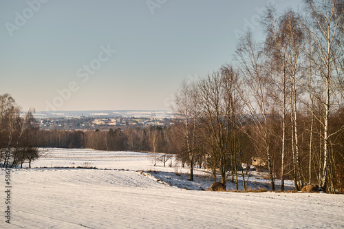 Winter;  snowy;  panorama of the town of Krasnystaw