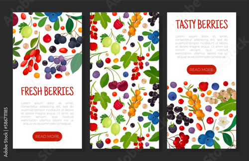 Berry Branch Banner Design with Sweet Tasty Garden Crop Vector Template