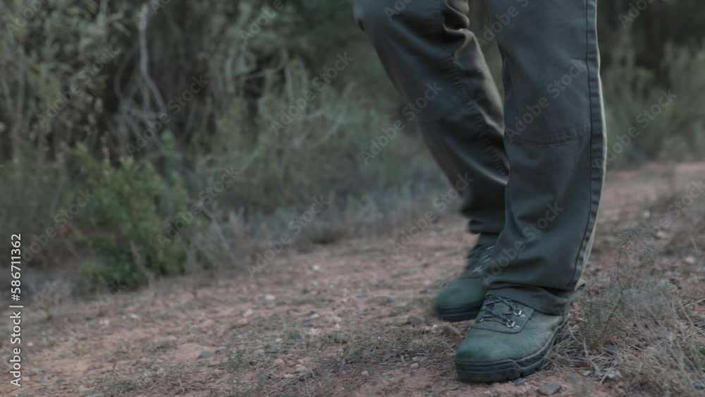 View of a dog walking with its owner in nature. View of a dog walking with its owner in nature.
