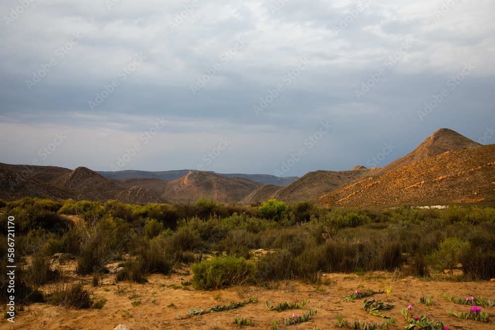 Naklejka premium Beautiful savannah landscape in national park in South Africa