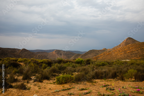 Beautiful savannah landscape in national park in South Africa