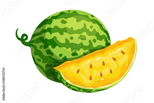 Juicy yellow watermelon.Ripe berry and slice of summer fruit.Vector graphics. photo