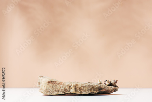 Natural background with stone, podium for cosmetics or food presentation