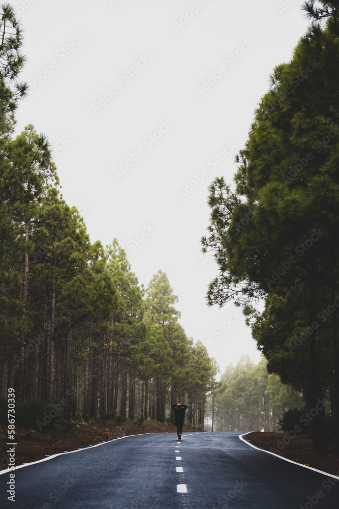 Stunning view of a girl walking on a road that crosses a beautiful forest. Pico de las Nieves, Gran Canaria, Canary Islands.