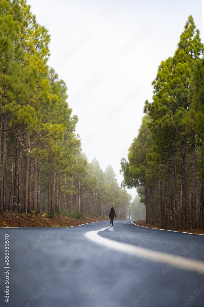 Stunning view of a girl walking on a road that crosses a beautiful forest. Pico de las Nieves, Gran Canaria, Canary Islands.