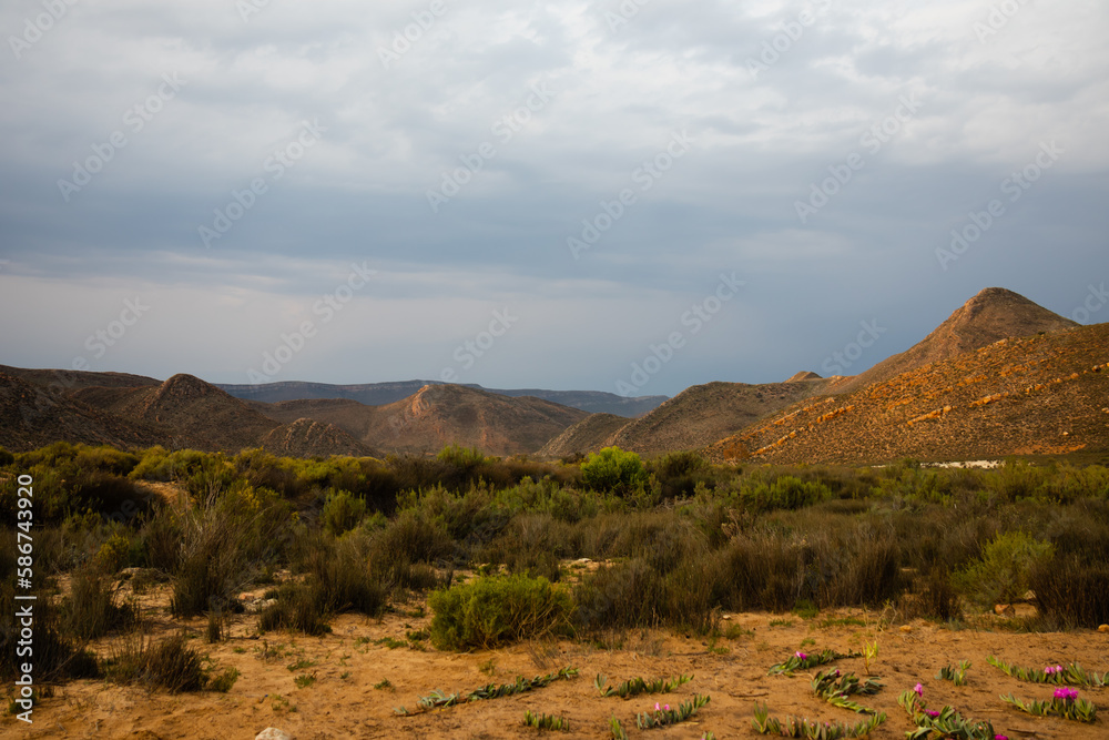 Beautiful savannah landscape in national park in South Africa