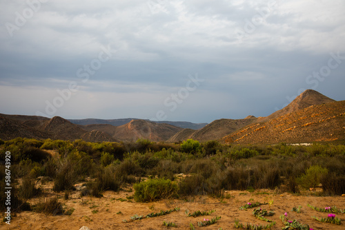 Beautiful savannah landscape in national park in South Africa