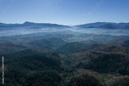 Autumn fog in the mountains, trees and forest and mountainous terrain. Top view of the pine forest.