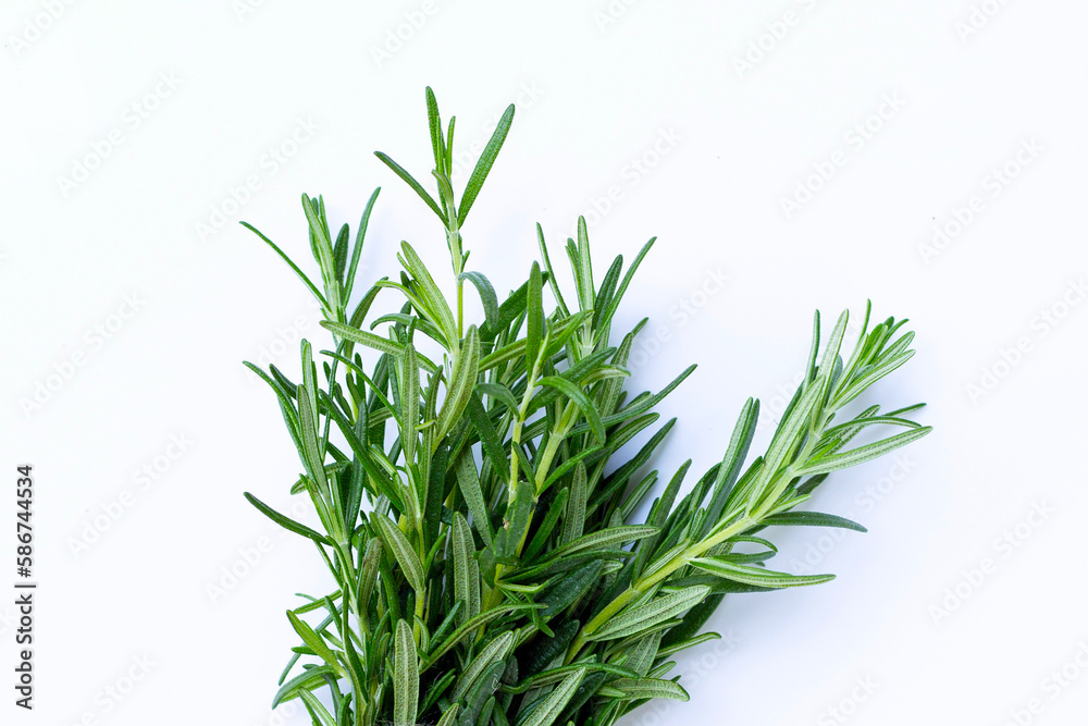 Fototapeta premium Rosemary on a white background.