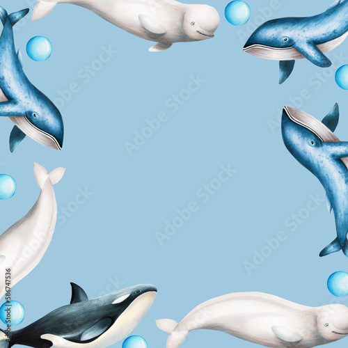 Watercolor frame with beluga  blue whale and killer whale isolated on white background. Hand painting realistic Arctic and Antarctic ocean mammals. For designers  decoration  postcards  wrapping paper