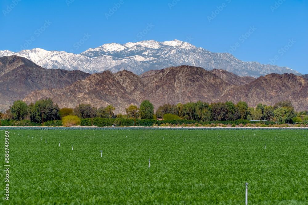Fototapeta premium MOUNTAINS OVERLOOKING FARM