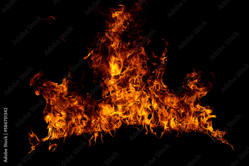 Fire flame. Burn lights on a black background. Fire flame. Burn lights on a black background.