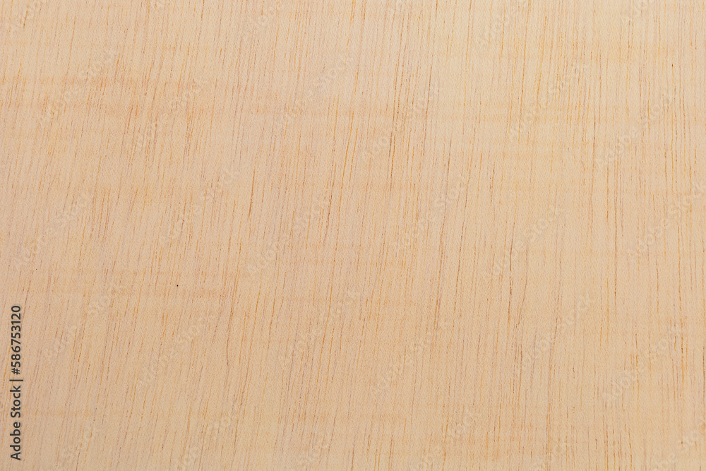 Light rough textured cut surface of an African tree. Wood background or blank for design Light rough textured cut surface of an African tree. Wood background or blank for design