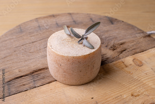 close up of maturated selection of cheese on old wood photo