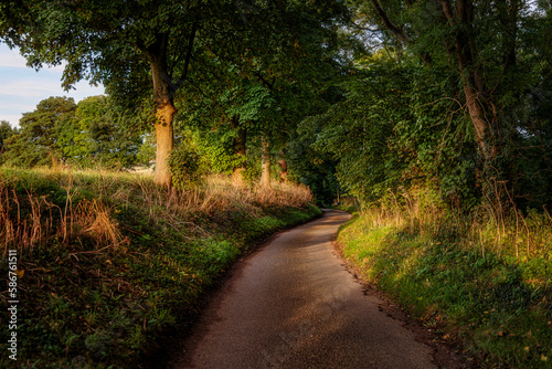 Country lane near Louth, Lincolnshire, England