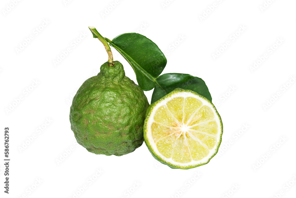 Close-up view Bergamot and leaves Close-up view Bergamot and leaves