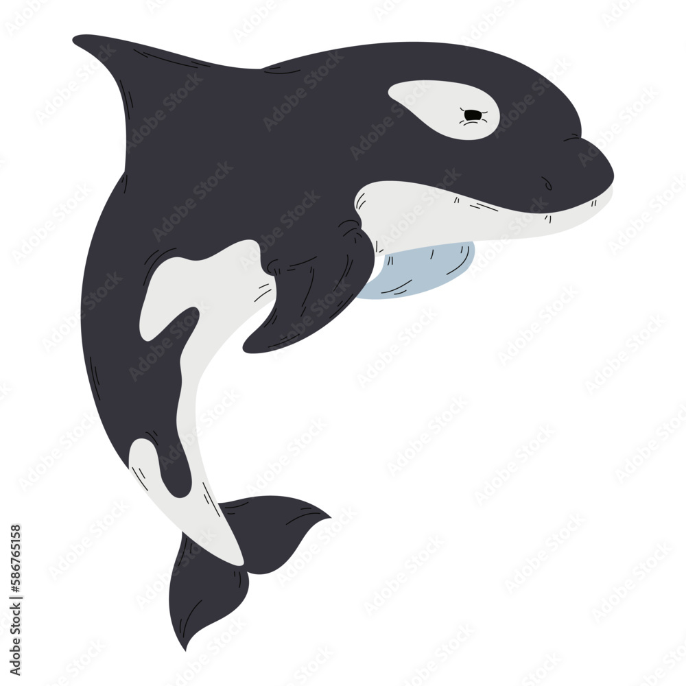 Naklejka premium Cute killer whale swimming