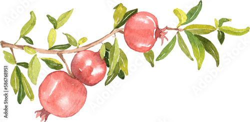 Watercolor pomegranate branch, garden blossom, perfect for rustic wedding invitation, countryside celebration, save the date