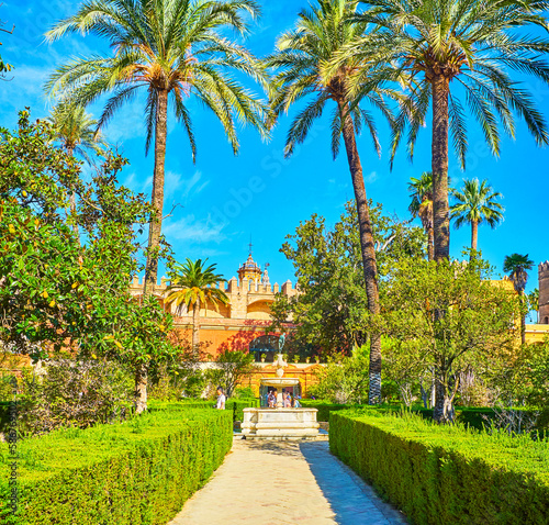 The alley in Alcazar Gardens in Seville, Spain photo